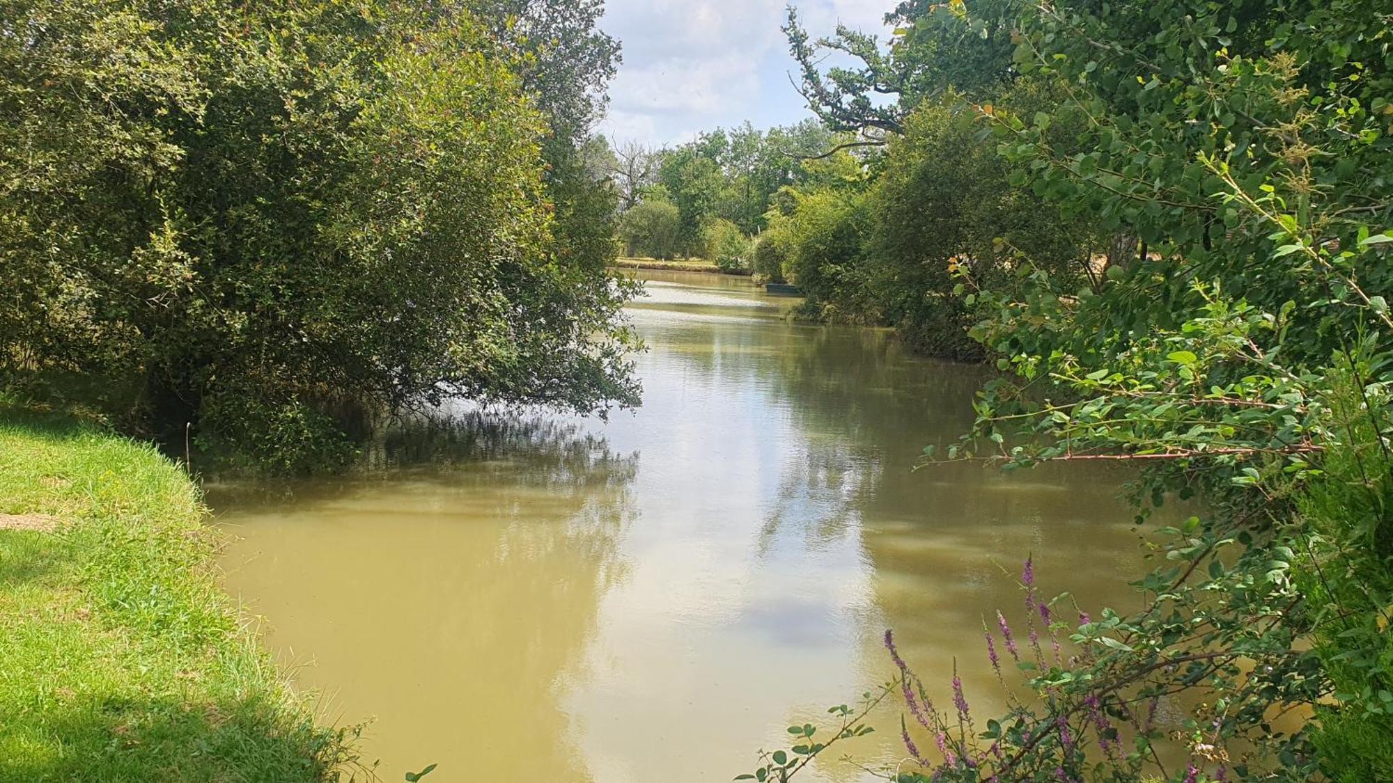 Domaine De La Tuillerie Βίλα Chaillac Εξωτερικό φωτογραφία